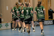 2025-02-17-Fristad-Eken_0048