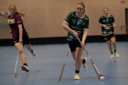 2025-02-17-Fristad-Eken_0049