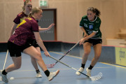 2025-02-17-Fristad-Eken_0050