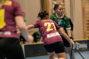 2025-02-17-Fristad-Eken_0051