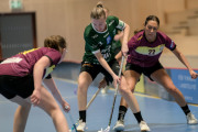 2025-02-17-Fristad-Eken_0052