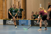2025-02-17-Fristad-Eken_0056