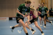 2025-02-17-Fristad-Eken_0057