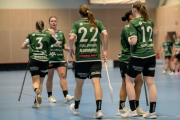 2025-02-17-Fristad-Eken_0060