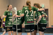 2025-02-17-Fristad-Eken_0061