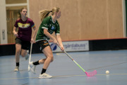 2025-02-17-Fristad-Eken_0068