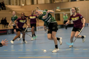 2025-02-17-Fristad-Eken_0073