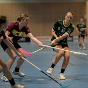 2025-02-17-Fristad-Eken_0074
