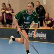 2025-02-17-Fristad-Eken_0076