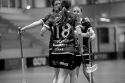 2025-02-17-Fristad-Eken_0080