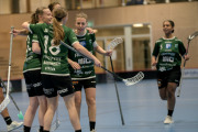2025-02-17-Fristad-Eken_0081