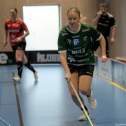 2025-02-23-Fristad-Molndal_0003