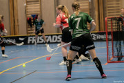 2025-02-23-Fristad-Molndal_0005