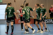 2025-02-23-Fristad-Molndal_0010