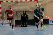 2025-02-23-Fristad-Molndal_0018