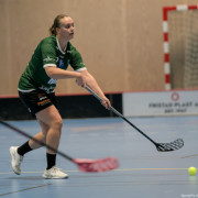 2025-02-23-Fristad-Molndal_0028