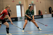 2025-02-23-Fristad-Molndal_0029