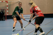 2025-02-23-Fristad-Molndal_0038