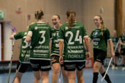 2025-02-23-Fristad-Molndal_0041
