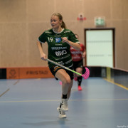2025-02-23-Fristad-Molndal_0042