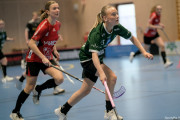 2025-02-23-Fristad-Molndal_0047