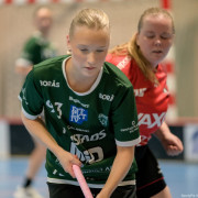 2025-02-23-Fristad-Molndal_0048