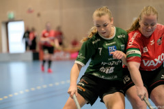 2025-02-23-Fristad-Molndal_0001