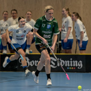 2025-03-12-Fristad-Halna_0010