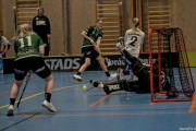 2025-03-12-Fristad-Halna_0018