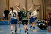 2025-03-12-Fristad-Halna_0019