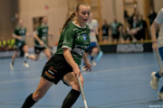 2025-03-12-Fristad-Halna_0022