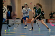 2025-03-12-Fristad-Halna_0034