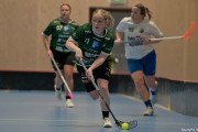 2025-03-12-Fristad-Halna_0035