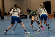 2025-03-12-Fristad-Halna_0042