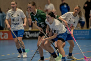 2025-03-12-Fristad-Halna_0049