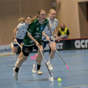 2025-03-20-Fristad-Frojered_0001