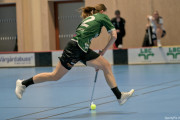 2025-03-20-Fristad-Frojered_0003