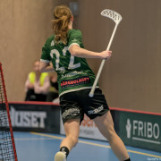 2025-03-20-Fristad-Frojered_0004