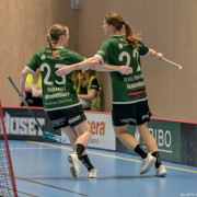 2025-03-20-Fristad-Frojered_0005