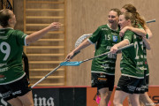 2025-03-20-Fristad-Frojered_0008