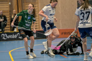 2025-03-20-Fristad-Frojered_0011