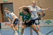 2025-03-20-Fristad-Frojered_0012