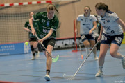 2025-03-20-Fristad-Frojered_0013