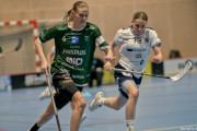 2025-03-20-Fristad-Frojered_0014