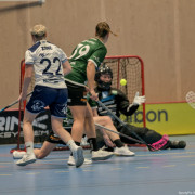 2025-03-20-Fristad-Frojered_0019