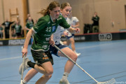 2025-03-20-Fristad-Frojered_0020