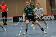 2025-03-20-Fristad-Frojered_0022