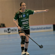 2025-03-20-Fristad-Frojered_0023
