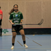 2025-03-20-Fristad-Frojered_0027