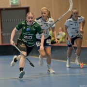 2025-03-20-Fristad-Frojered_0028